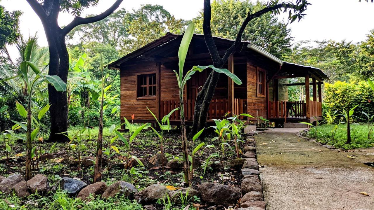 Wood Cabin - Cabana Maderas Balgue 外观 照片